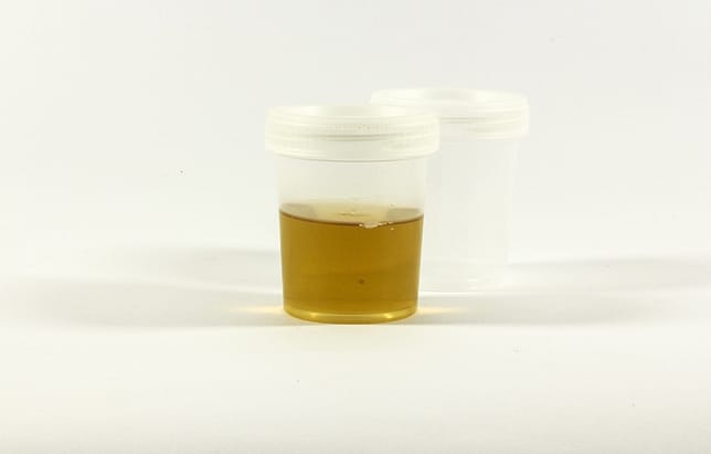 fake urine for passing drug test