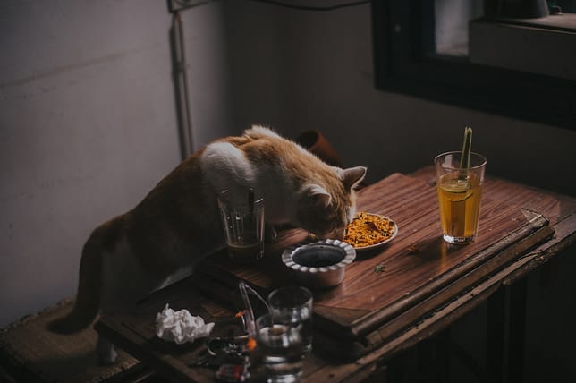 balanced diet